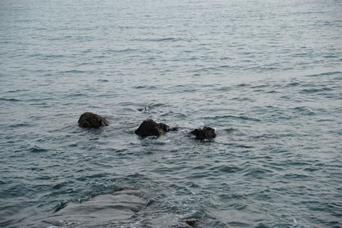 無法掌控命運(yùn)，就掌控內(nèi)心