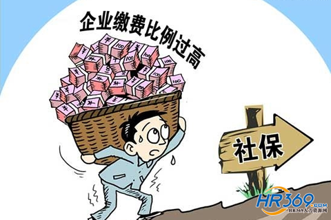 華全動力對“養老費率減半”建議熱切期待