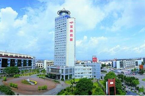 「玉柴」斬獲馳名商標 電力名企華全動力點贊祝賀