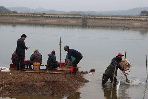 春回大地，漁業(yè)管理要跟上！柴油發(fā)電機組也該上場了