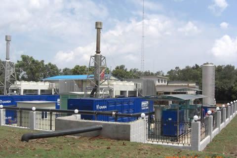 華全動(dòng)力：沼氣發(fā)電迎機(jī)遇!中國(guó)養(yǎng)豬業(yè)涌進(jìn)東北