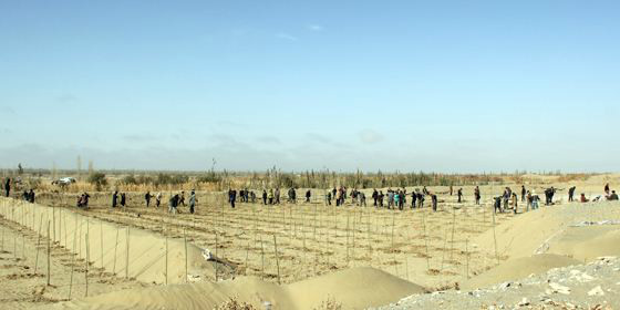 華全發(fā)電機(jī)組：新疆放大招，預(yù)將百萬畝沙漠變綠洲