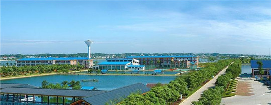 專業(yè)巡檢，熱心服務!華全發(fā)電機組助力養(yǎng)殖企業(yè)溫暖過冬!